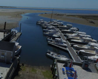 Outermost Harbor Marine Webcam - Cape Cod