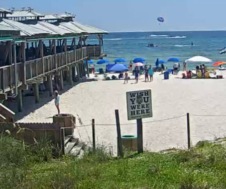 Pineapple Willy S Live Beach Cam Live Beaches