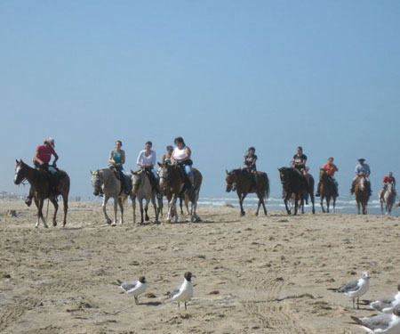 South Padre Island Adventure Park Live Cam