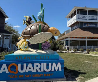 Atlantic City, NJ Aquarium Live Cam