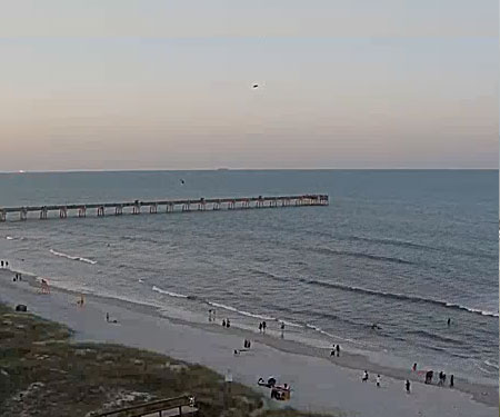 Live Cam from Jacksonville Beach