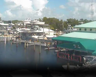 Pilot House Marina Webcam in Key Largo