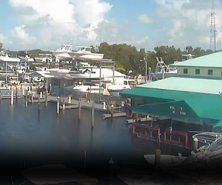 Pilot House Marina Webcam in Key Largo