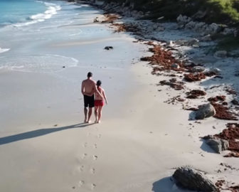 Video Antigua, Caribbean Islands, Resort Beach Vacation