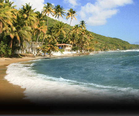 Caribe Playa Beach Hotel Puerto Rico Resort Beach Vacation, Visit Caribbean Islands