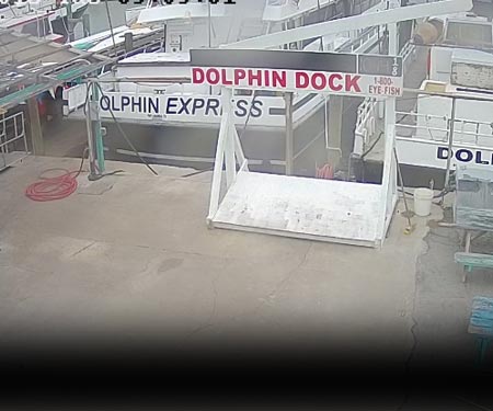 Dolphin Dock Charters East Cam