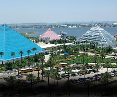 Moody's Garden Pyramid Cam, Galveston TX