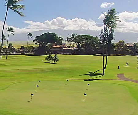 Maui Golf Country Club Live Cam