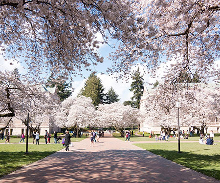 University of Washington - Quad Cam