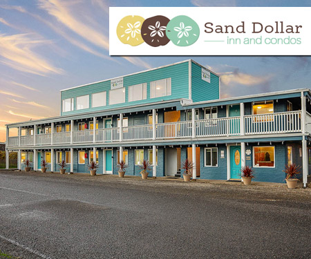 Sand Dollar Condos Live Cam Pacific Beach WA