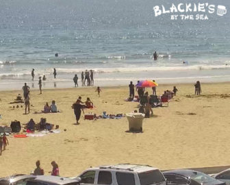 Blackie's By the Sea Live Beach Cam