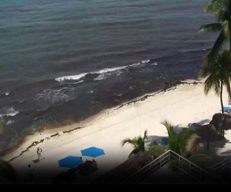 Playa Del Carmen Beach Cam Live Beaches