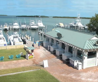 World Wide Sportsman Bayside Marina Live Cam, Florida Keys, Islamorada