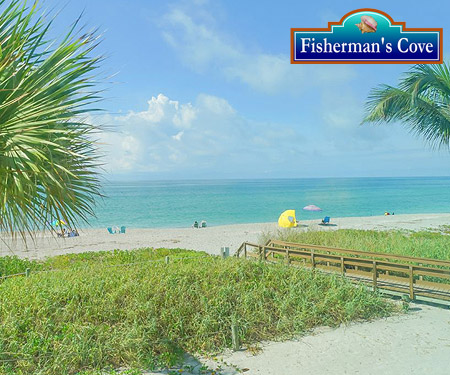 Fisherman's Cove Live Beach Cam