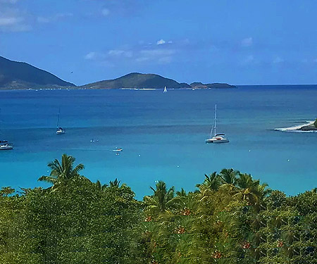 Coconut Breeze Villas, BVI Live Cam
