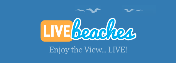 www.livebeaches.com