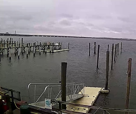Ocean City, NJ Webcam - Berger Realty