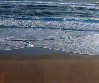 Ormond-By-The-Sea, Florida Beach Surf Live Webcam