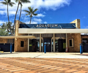 Waikiki Aquarium in Honolulu, HI Live Webcam