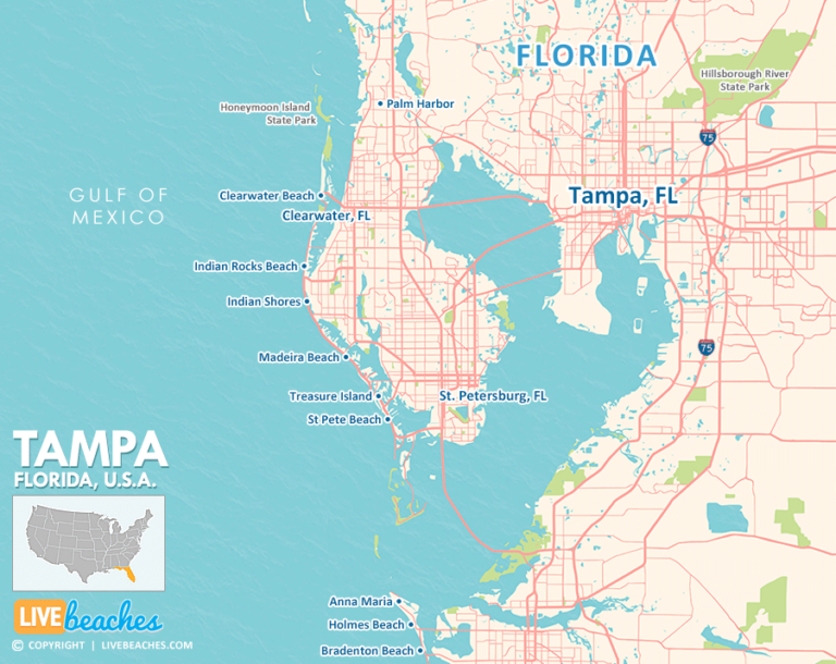 Map of Tampa Florida Live Beaches - Florida Tampa Map Beaches 900x715 1 768x610 