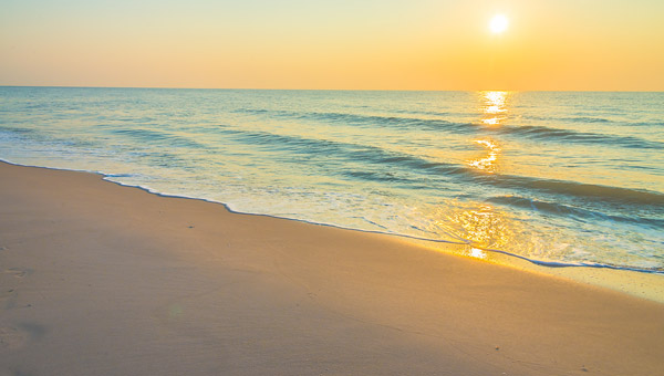 Webcam Poster Preview