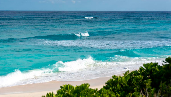 caribbean-bahamas-webcam-calypso-600x340