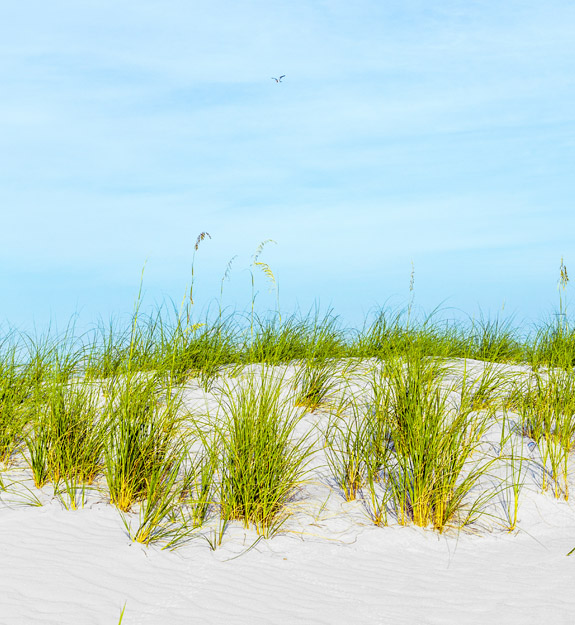 Visit Amelia Island, FL | Beachfront Hotels, Vacation Travel