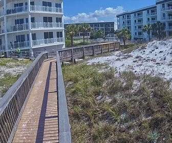 The Dunes of Seagrove Live Webcam