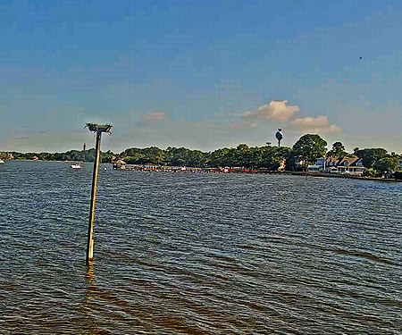 Corolla Light Resort Soundside Webcam