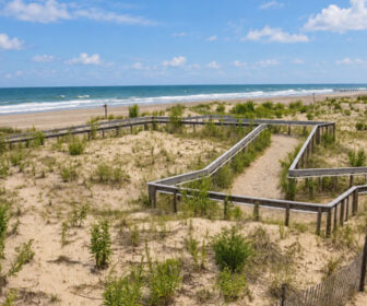 Margate City, NJ Beach Dunes Live Cam, New Jersey.